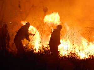 Пожар в Хинганском заповеднике. Фото: http://www.dataplus.ru