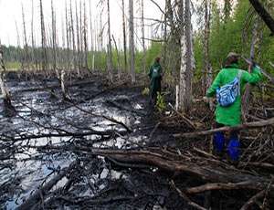 Ямальская прокуратура нашла 11 незаконно закрытых уголовных дел об экологических преступлениях. Фото: &quot;Новый Регион&quot;