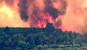 Лесные пожары в США: огонь подбирается к Лос-Анджелесу. Фото: http://ruvr.ru