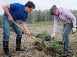 В Брянской области восстановят лес Толстого. Фото: http://greenpressa.ru