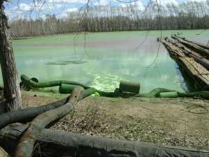 Гринпис России обратился в прокуратуру в связи с загрязнением реки Чусовой. Фото: Greenpeace