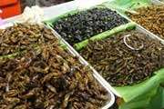 Жуки, кузнечики, сверчки и цикады – отличный источник белков и витаминов. Фото: Центр Новостей ООН