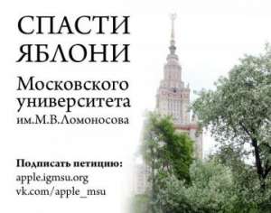В МГУ защищают яблоневые аллеи. Фото: http://greenpressa.ru