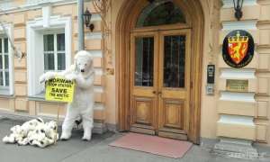 Белый медведь оплакивает своих медвежат у посольства Норвегии в Москве. Фото: Greenpeace