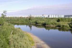 В Югре администрацию одного из городов обязали взять на баланс местный лес. Фото: www.admrad.ru