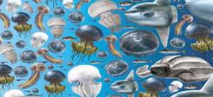 Нашествие медуз истощает рыбные ресурсы в Средиземном и Черном морях. Фото: Центр Новостей ООН