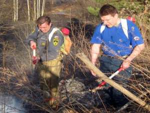 Все лесные пожары в Кировской области ликвидированы. Фото: newsler.ru