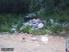 Власти всерьез взялись за борьбу с мусором в лесах Ленобласти. Фото: rosbalt.ru
