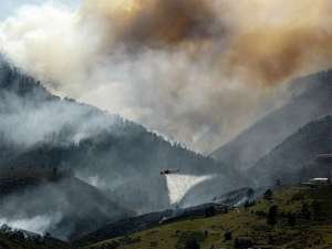 Сотни жителей штата Аризона эвакуированы из-за лесных пожаров. Фото: vesti.ru