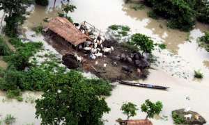 Наводнение в Индии. Фото: http://indonet.ru