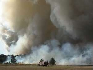 Урал изнывает от засухи: 400 лесных пожаров за месяц. Фото: Вести.Ru