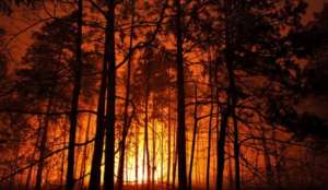 Север Португалии охвачен лесными пожарами, проводятся работы по локализации. Фото с сайта &quot;Голос России&quot;