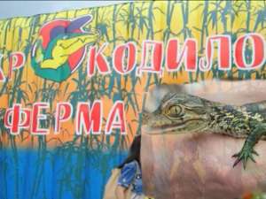 &quot;Крокодиловая ферма&quot; на ВВЦ. Фото: http://www.kp.ru