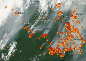 Лесные пожары. Фото: http://forestforum.ru