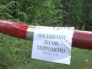 Посещение лесов запрещено. Фото: http://vremyan.ru