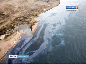 Источник нефтяных пятен на Енисее определить не удалось. Фото: Вести.Ru