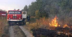 Лесной пожар. Фото: http://telegraf.com.ua/