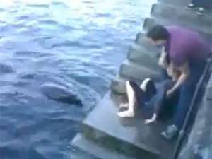 Дельфин напал на женщину (ВИДЕО). Фото: Youtube.com 