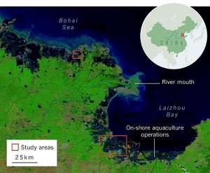 Земля в дельте Хуанхэ оседает на 25 см в год. (Изображение MODIS.)