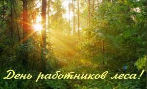 15 сентября - День работников лесной отрасли. Фото: http://gfiso.ru