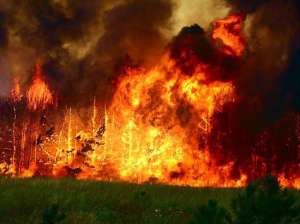 За лесной пожар охотник из Якутии может поплатиться штрафом в 9 млн рублей