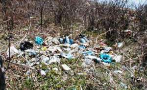 Волонтеры очистят заваленный мусором остров Рейнеке. Фото: http://deita.ru