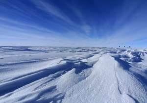 Антарктика. Фото: http://korrespondent.net