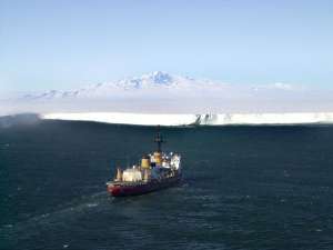 Австралия, Новая Зеландия, США, Франция, а также Евросоюз предложили России создать морские заповедники в Антарктике ради сохранения редких видов морских животных и экологической безопасности. Фото: Global Look Press