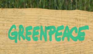 Greenpeace не будет отправлять еще один корабль в Арктику. Фото: ruvr.ru