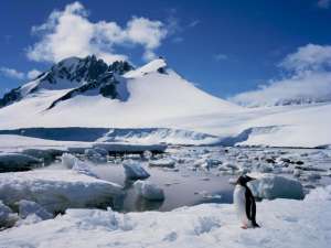 Новый всемирный рекорд самой низкой температуры на поверхности Земли зафиксировали ученые в Антарктиде в районе японской станции &quot;Купол Фудзи&quot;. Фото: Global Look Press