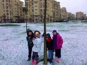 В Египте впервые за более чем сто лет выпал снег. Фото: Egypt Independent