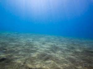 Новое исследование показывает, что примерно полмиллиона кубических километров воды низкой солености скрыты под морским дном на континентальном шельфе по всему миру. (Фото: © DJ / Fotolia )