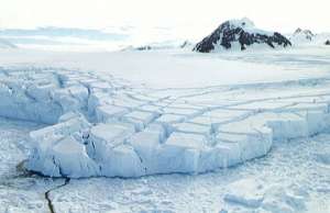 Антарктика. Фото: http://prirodadi.ru/