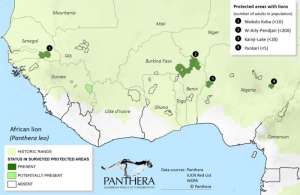 Карта Западной Африки. (Фото: Panthera)