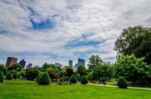 Городской парк (фото Nicholas Erwin).