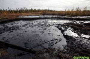 Нефть на земле. Фото: Greenpeace