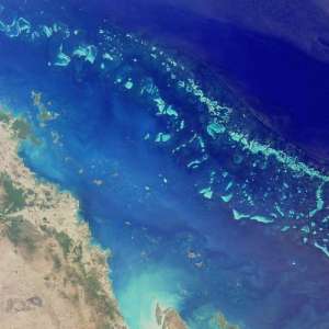 Большой Барьерный риф, вид из космоса(фото NASA/Wikipmedia Commons). 
