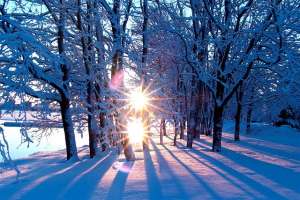 Зима. Фото: http://www.stihi.ru