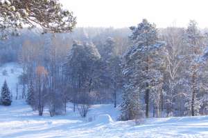 Зима. Фото: http://strana.ru