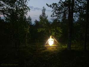Световая ловушка используется для ловли мотыльков в субарктических лесах в финской Лапландии. Исследование генерировало 32-летние данные о реакции популяций мотыльков в условиях изменяющегося климата. (Фото: Ella-Maria Kyro)