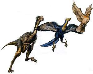 Британские ученые: динозавры не вымерли, а стали птицами. Фото с сайта БЕЛТА