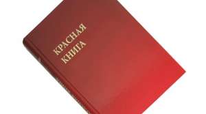 Красная книга. Фото: http://stihi.ru/