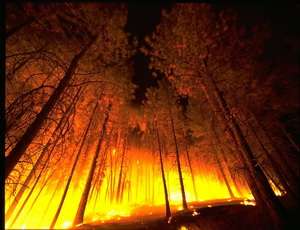 Лесные пожары. Фото: http://nr2.ru/