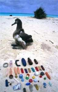 Пластиковые загрязнения является угрозой для морских птиц во всем мире. На фото – пластиковые фрагменты, найденные в альбатросе на Гавайских островах. (Фото: Иаков Гонсалес Солис, UB-IRBio)