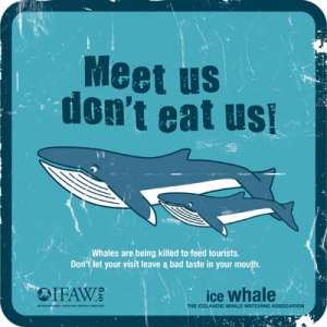 Кампания IFAW «Meet us don’t eat us!» («Познакомься с нами, не ешь нас!»). Фото http://www.ifaw.org/.