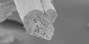 Микрофотография целлюлозного волокна. Толщина конечного продукта не превышает 20 микрометров (фото KTH). 