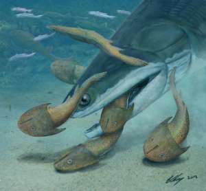 Рыба M. amblyodus на охоте в представлении художника (иллюстрация Brian Choo). 