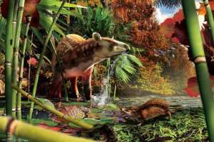 Самый маленький еж жил 50 млн лет назад. Фотография: Julius Csotonyi