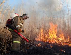На Камчатке локализованы все лесные пожары