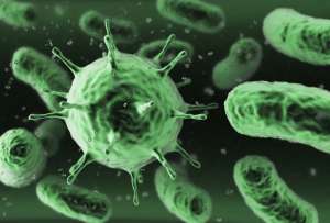  Кишечные бактерии © Bowenworksinlondon. Фото с сайта Naked Science